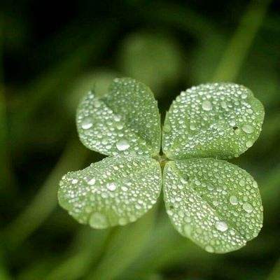 伊朗停火相关疑似内幕交易引关注